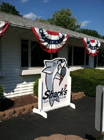 Sharks Ice Cream