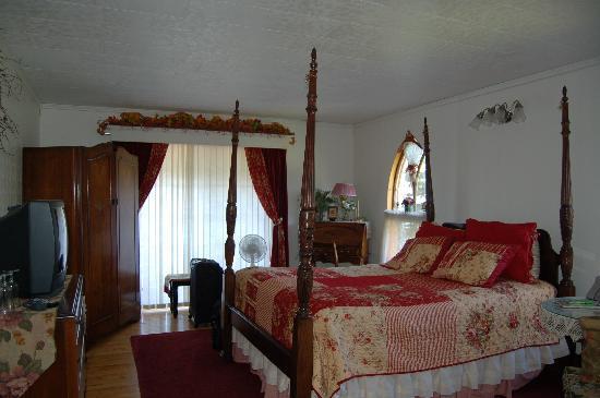 Photo by Bassetcase1