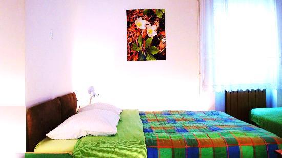 Apartments Bovec Dana