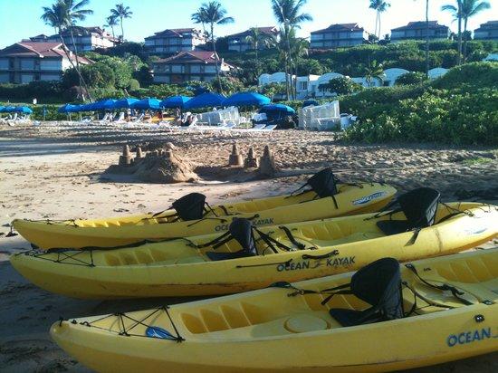 Wailea Watersports