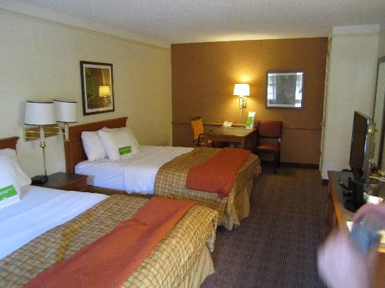 Photo by tarantula56