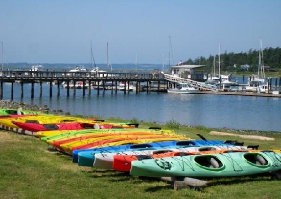 Blue Fjord Cabins