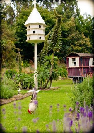 Jersey Lavender Farm