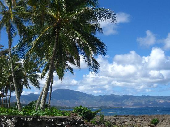 Photo by hawaiiluver