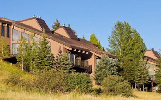 Pinnacle Condominiums