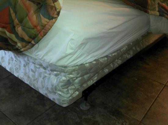 Green Cove Springs Inn