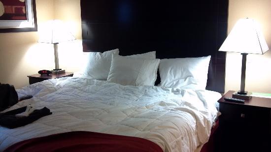 La Quinta Inn & Suites by Wyndham Brooklyn Downtown