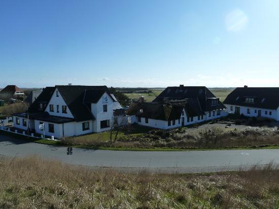 Photo by CowgirlAtHeart