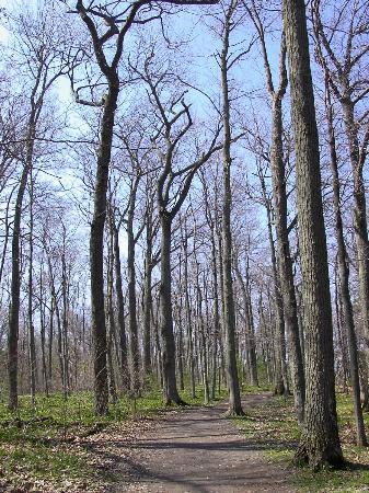 Lemoine Point Conservation Area