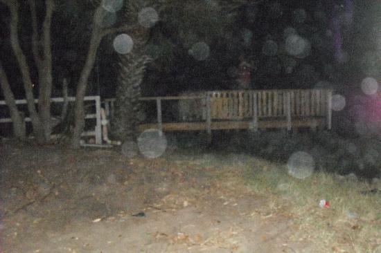 Ghost Walk of Saint Simons