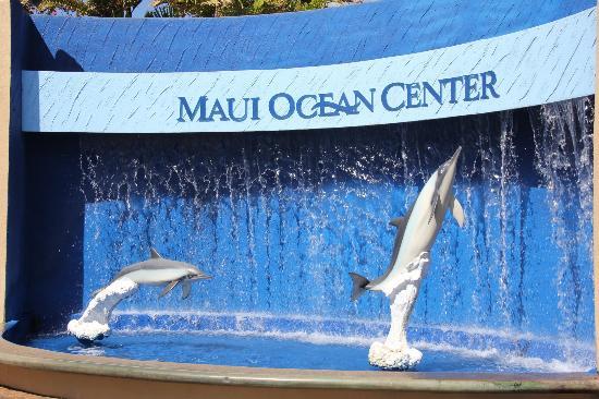 Ocean Activities Center