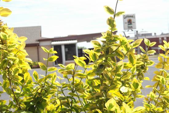 Photo by Matt3753181