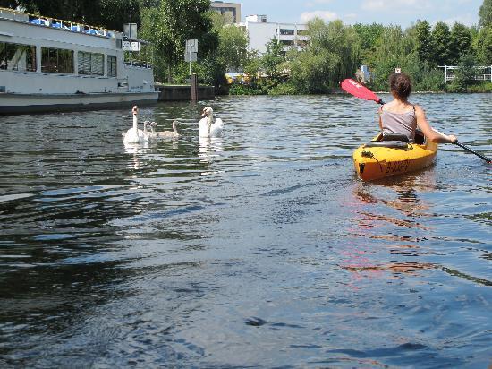 Kayak Berlin Tours