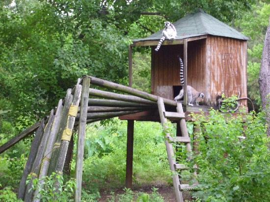 Louisiana Purchase Gardens & Zoo