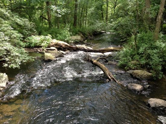 Photo by ConservationMinded