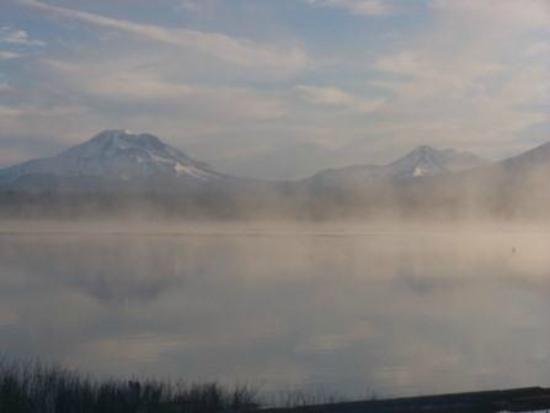 Crane Prairie Reservoir Campground