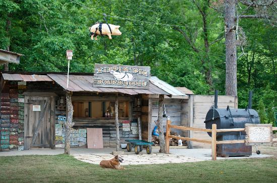 Zippin' Pig BBQ at Foxfire Mountain
