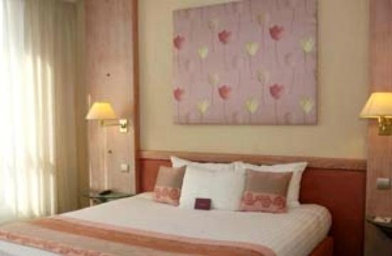 Mercure Limoges Royal Limousin Hotel