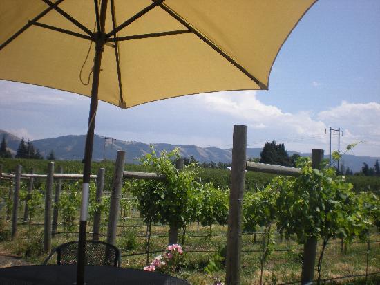 Hood River Vineyards