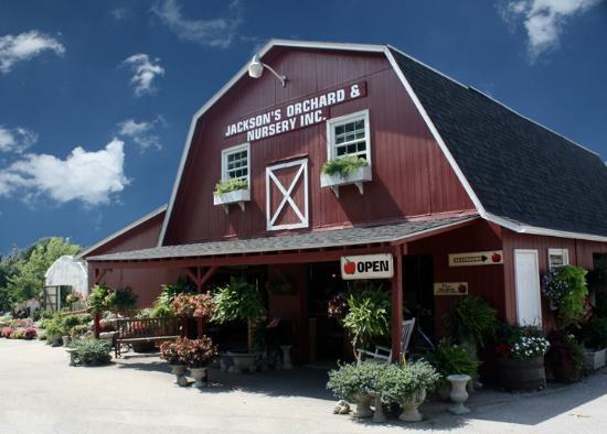 Jackson's Orchard & Nursery