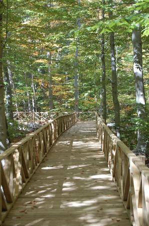 Stamford Museum & Nature Center