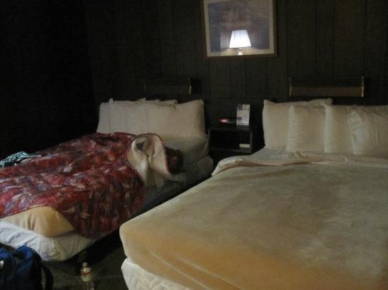 Photo by MichiganJayp