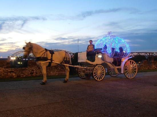 The Carriage Company