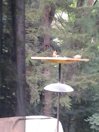 Stonewall Bed and Breakfast