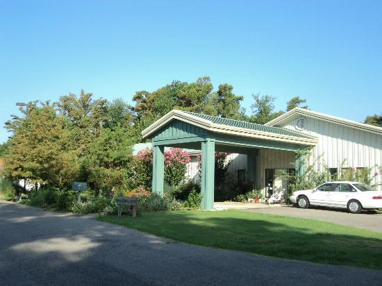 Photo by tmitchellBayArea_Ca