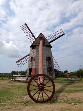 Gail's Tours of Nantucket