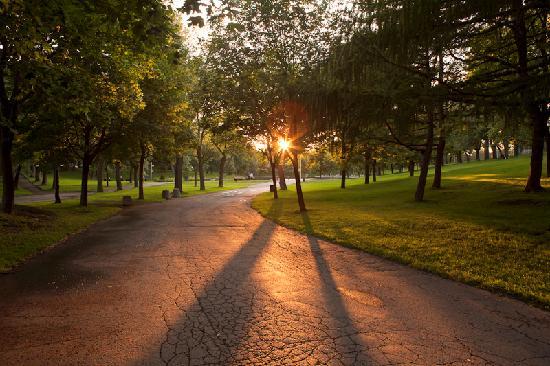 Gite du Parc Lafontaine Guest House