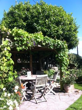 Bay Tree House Bed and Breakfast