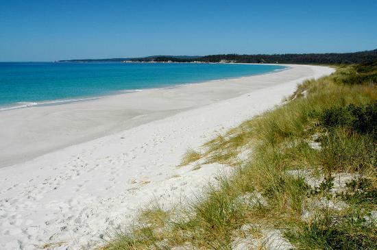 Addlestone House Bed and Breakfast