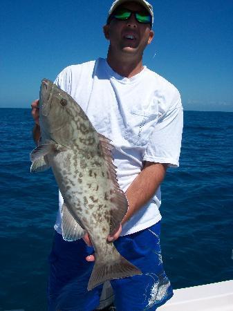 Entice Charters - Tours