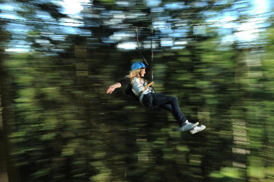 Hirschgrund - Zipline Area Schwarzwald