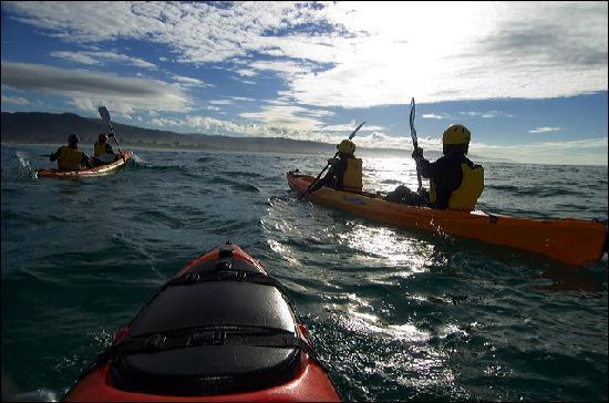Apollo Bay Surf and Kayak