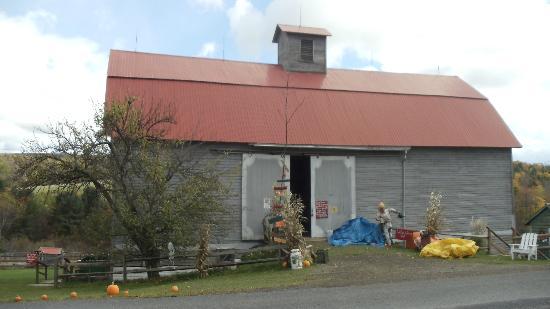 Willy's Farm and Cider Mill