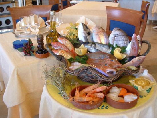 L'Hippocampe Marseille Vieux Port