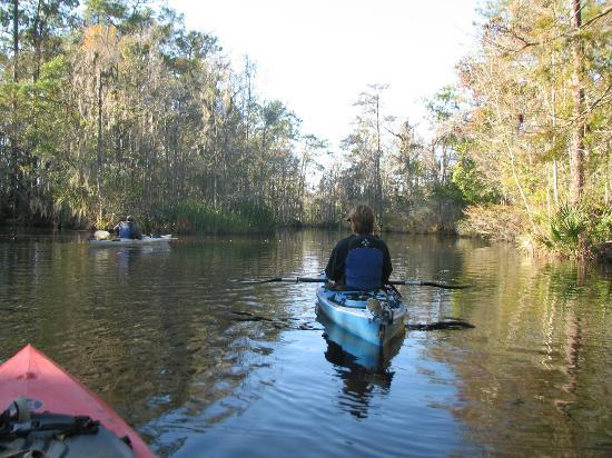 Altamaha Coastal Tours