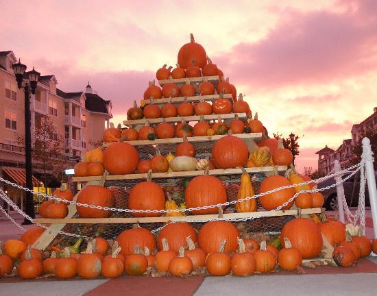 Stone Theatres - Grand 14 at Market Commons