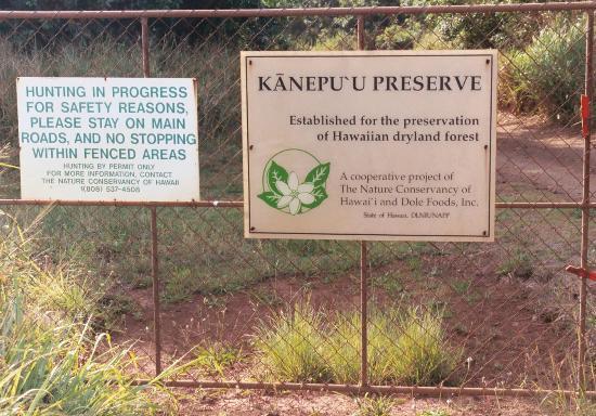 Kanepuu Preserve