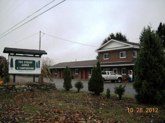 The Forest Lodge & Campground