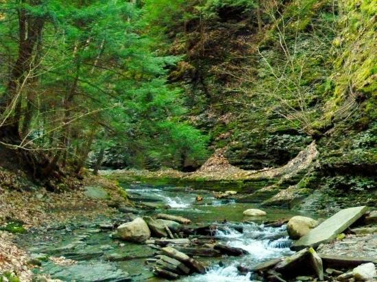 Parish Glen / Conklin Gully