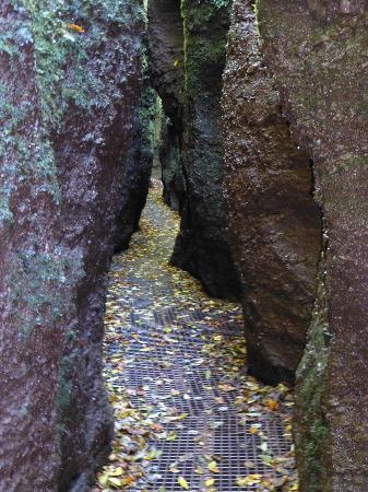 Drachenschlucht / Landgrafenschlucht
