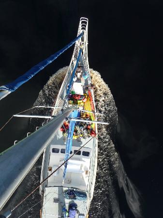 West Coast Yacht Charters - Day Tour