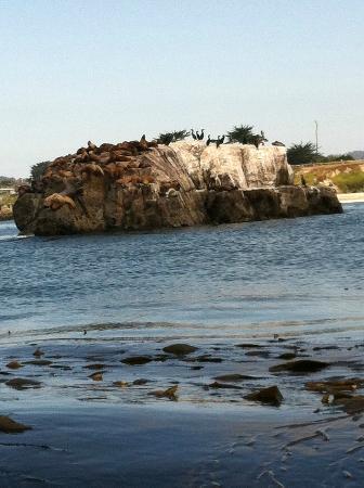 Venture Quest Day Kayaking