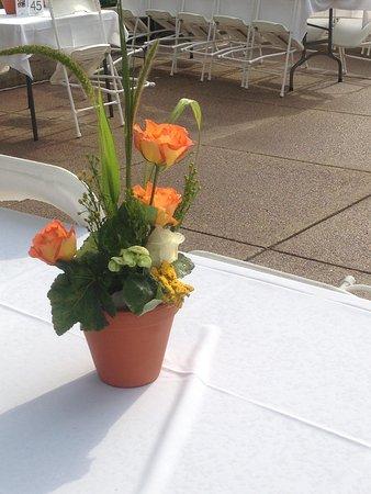 Concerts on the Square