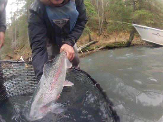 Kenai River Trout Anglers