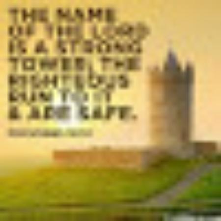 photo of Sparkie582014