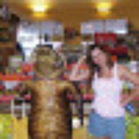 Photo of 259stephaniet